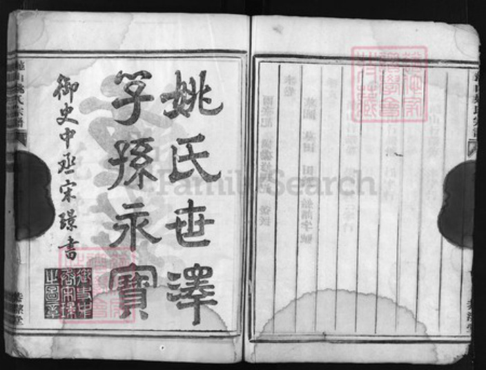 浙江省姚氏族谱-兰谿龙山姚氏宗谱 [19卷, 首末各1卷].pdf电子版插图4