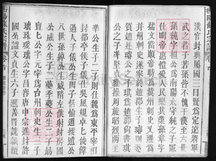福建省泉州市安溪县苏氏族谱-衡阳苏氏宗谱 [8卷].pdf电子版插图3