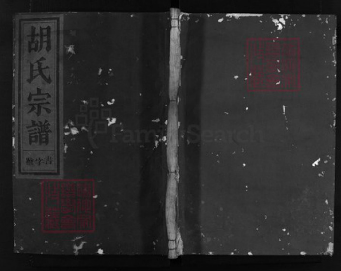 浙江省胡氏族谱-西湖胡氏宗谱 [4卷].pdf电子版插图