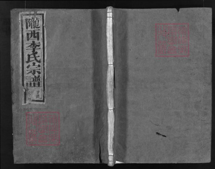 浙江省李氏族谱-陇西李氏宗谱(皋门李氏宗谱).pdf电子版插图