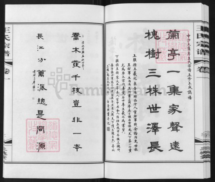 江苏省常州市武进县礼嘉镇王氏三槐堂族谱-中沙大蒲岸王氏宗谱.pdf电子版插图4 江苏省常州市武进县礼嘉镇王氏三槐堂族谱-中沙大蒲岸王氏宗谱.pdf电子版插图4