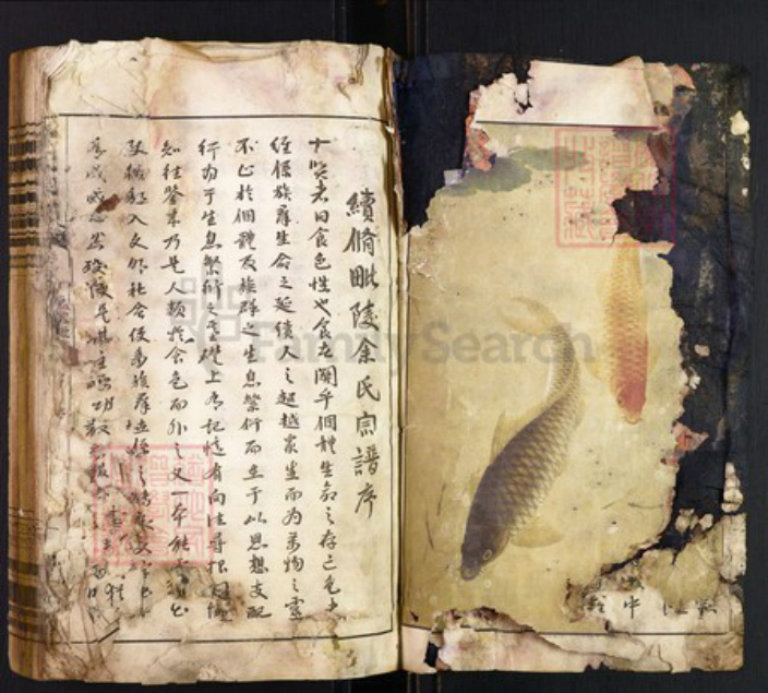 江苏省常州市天宁区余氏泗水堂族谱-毗陵余氏宗谱.pdf电子版插图2