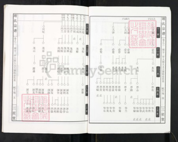 湖北省黄冈市靖氏三星堂族谱-靖氏宗谱.pdf电子版插图3
