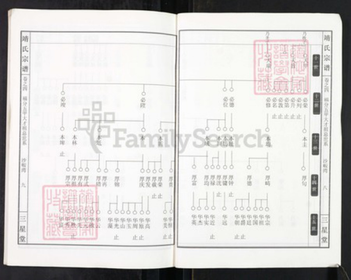 湖北省黄冈市靖氏三星堂族谱-靖氏宗谱.pdf电子版插图5