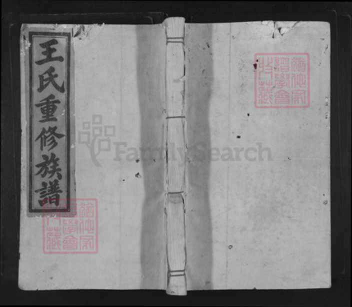 福建省龙岩市武平县武东乡王氏族谱-三槐王氏重修族谱.pdf电子版