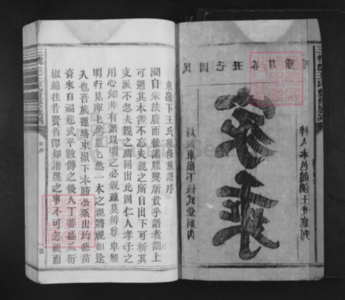 福建省龙岩市武平县武东乡王氏族谱-三槐王氏重修族谱.pdf电子版插图2