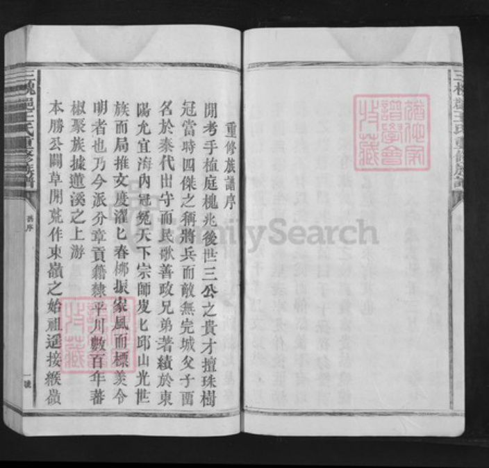 福建省龙岩市武平县武东乡王氏族谱-三槐王氏重修族谱.pdf电子版插图4