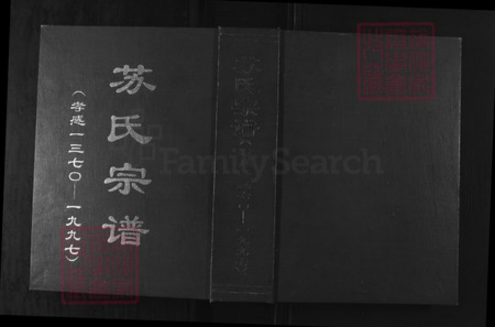 湖北省孝感市孝南区杨店镇苏氏族谱-苏氏宗谱.pdf电子版