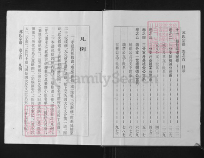 湖北省孝感市孝南区杨店镇苏氏族谱-苏氏宗谱.pdf电子版插图3