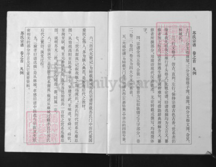 湖北省孝感市孝南区杨店镇苏氏族谱-苏氏宗谱.pdf电子版插图4