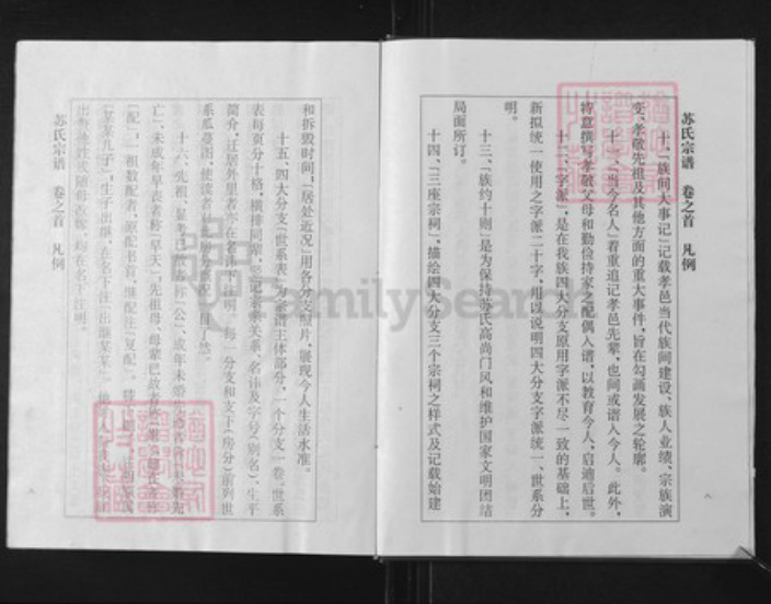 湖北省孝感市孝南区杨店镇苏氏族谱-苏氏宗谱.pdf电子版插图5