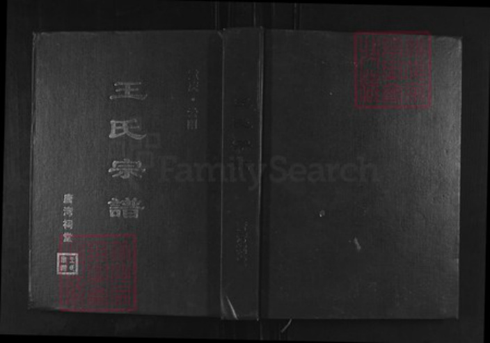 重庆市云阳县王氏湾祠堂族谱-王氏宗谱.pdf电子版