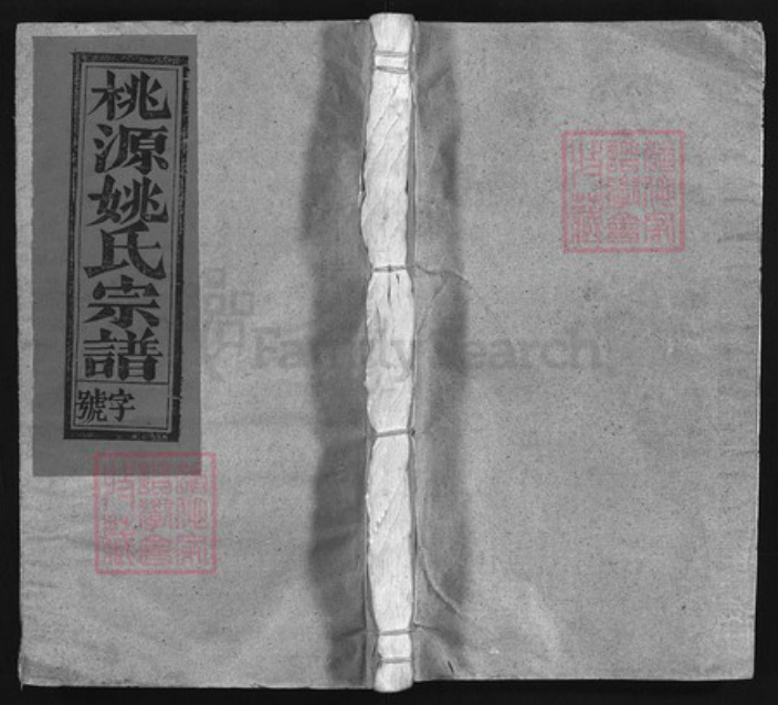 江西省上饶市姚氏族谱-桃源姚氏宗谱 [卷5, 卷首1].pdf电子版