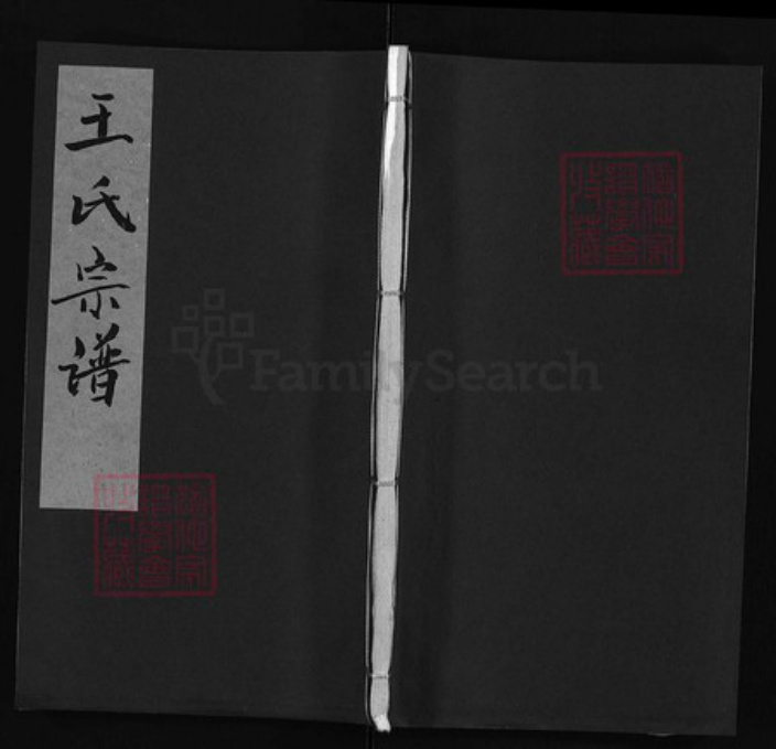 湖北省宜昌市枝江市王氏族谱-王氏宗谱 [6卷].pdf电子版