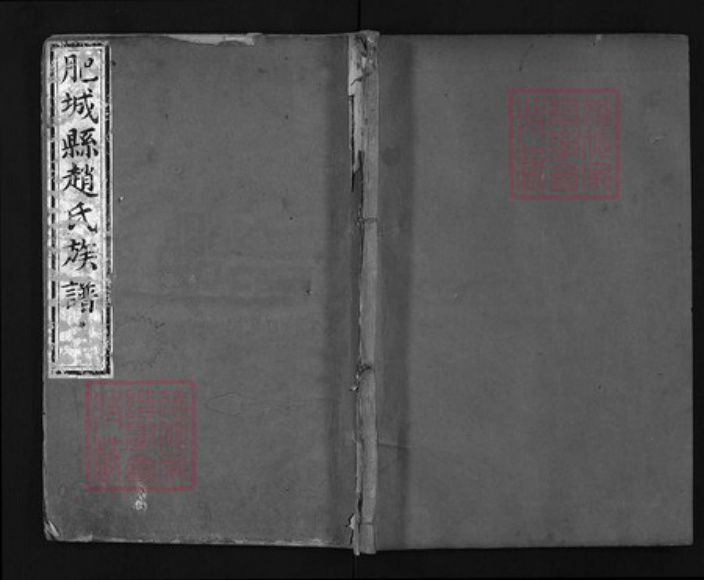 山东省泰安市肥城市赵氏族谱-肥城县赵氏族谱 [5卷].pdf电子版