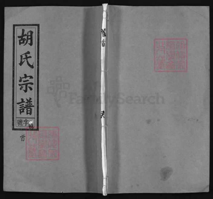 安徽省安庆市怀宁县胡氏族谱-胡氏宗谱 [20卷, 首末各1卷].pdf电子版
