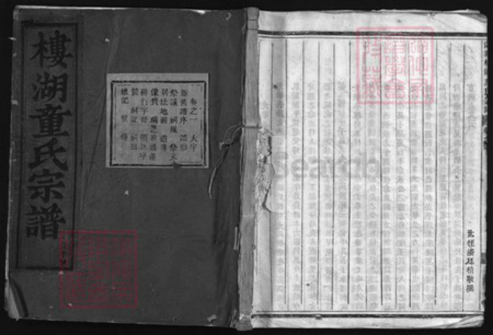 浙江省童氏族谱-兰谿楼湖童氏宗谱 [6卷].pdf电子版