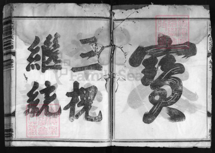浙江省王氏族谱-太原王氏宗谱 [3卷].pdf电子版插图3