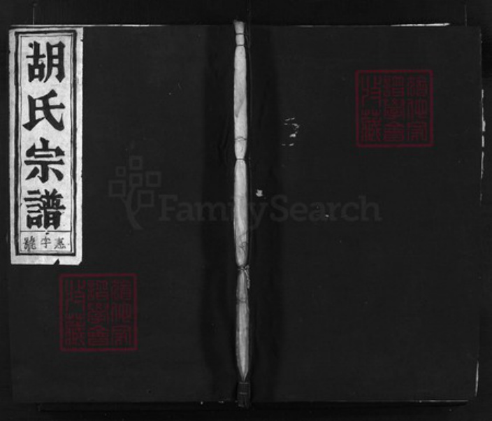 浙江省胡氏族谱-庙山胡氏宗谱 [4卷].pdf电子版插图