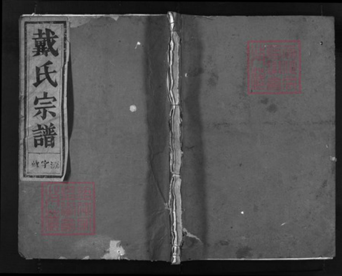 浙江省戴氏族谱-戴氏宗谱 [6卷].pdf电子版插图