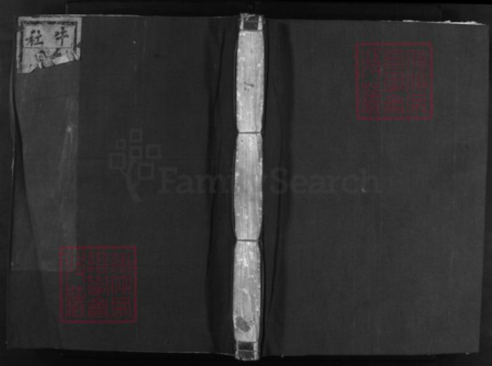 浙江省陈氏族谱-兰江菖湖陈氏宗谱 [世系8卷,行传4卷,首1卷].pdf电子版