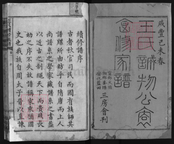 湖南省湘潭市湘乡市湘乡王氏族谱-王氏续修族谱 [12卷].pdf电子版插图1