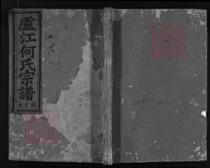 浙江省何氏族谱-卢江何氏宗谱 [4卷].pdf电子版