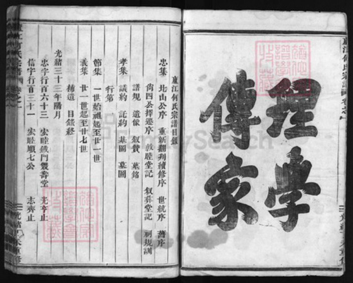 浙江省何氏族谱-卢江何氏宗谱 [4卷].pdf电子版插图3