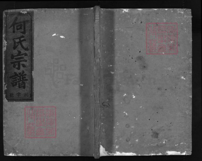 浙江省何氏族谱-卢江何氏宗谱 [5卷,末1卷].pdf电子版