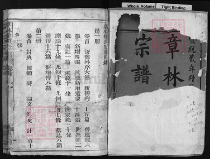 浙江省徐氏族谱-章林徐氏宗谱 [31卷,首1卷].pdf电子版插图1