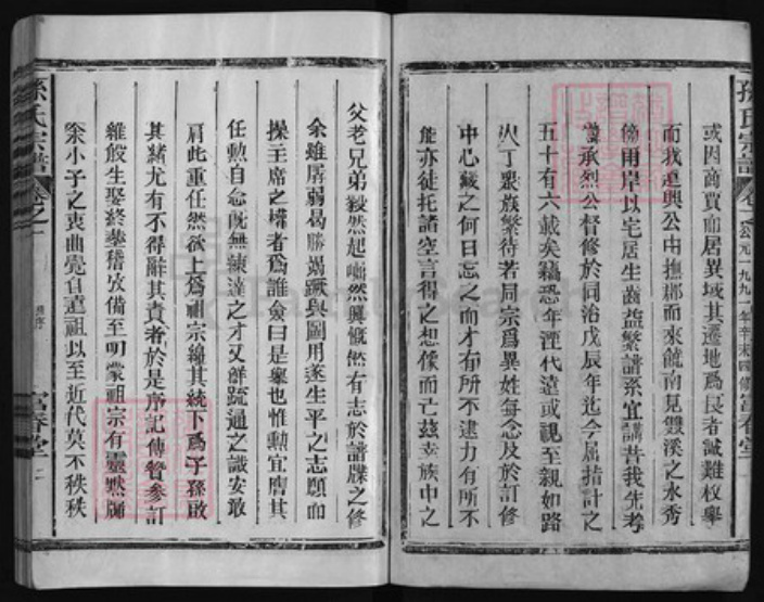 江西省上饶市孙氏族谱-双溪孙氏宗谱 [5卷].pdf电子版插图2