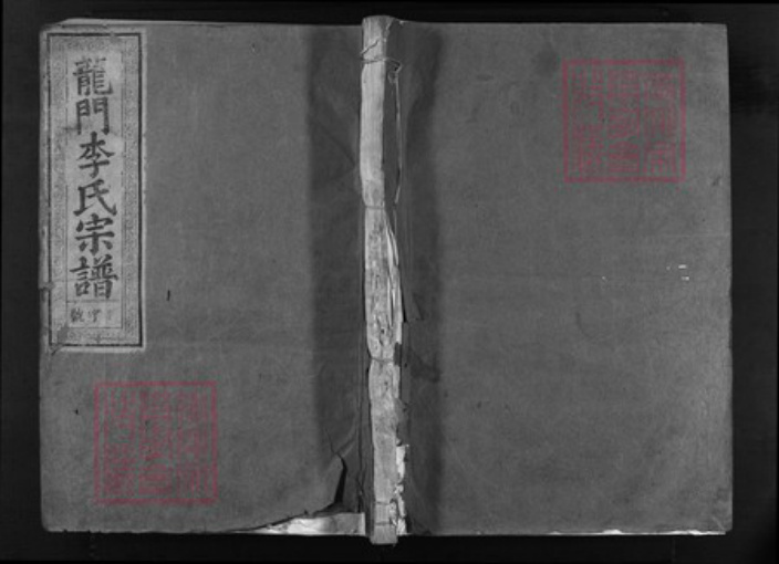 浙江省李氏族谱-龙门李氏宗谱 [3卷,含首1卷,世系4卷,含首1卷,行传4卷,含首1卷].pdf电子版