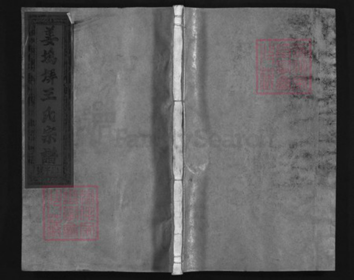 江西省上饶市王氏族谱-姜坞𡋱王氏宗谱 [5卷].pdf电子版