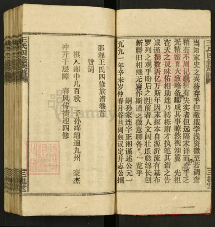 湖南省邵阳市新宁县金石镇王氏三槐堂族谱-邵湘王氏四修宗谱.pdf电子版插图5