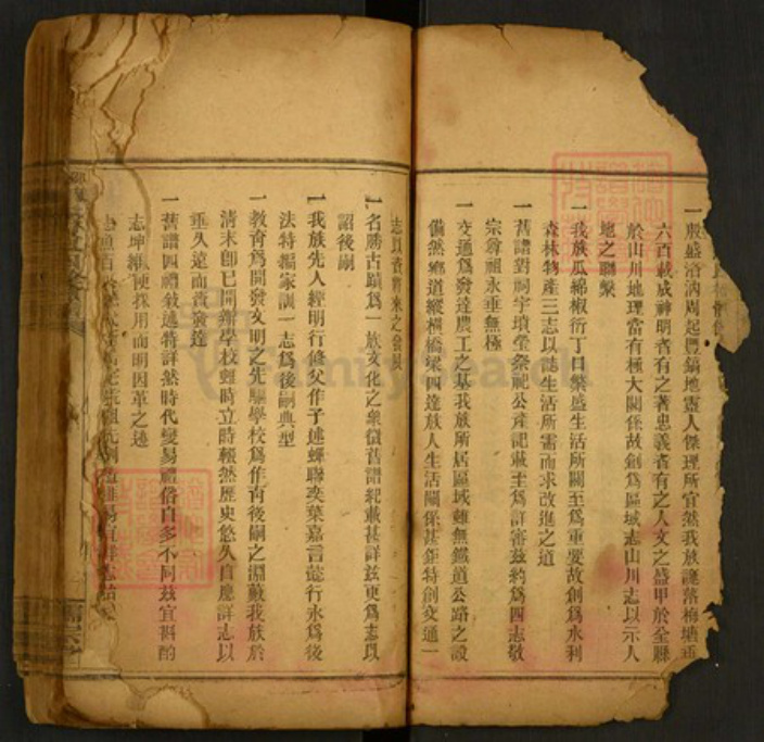 湖南省邵阳市洞口县黄桥镇贺氏儒宗堂族谱-邵阳梅塘贺氏玹公房房谱.pdf电子版插图4