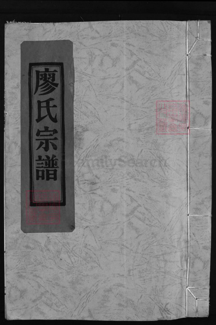 浙江省温州市廖氏族谱-武威郡廖氏宗谱 [不分卷].pdf电子版