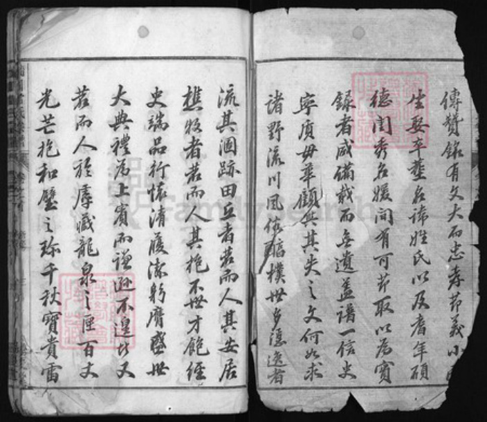 浙江省雷氏族谱-流川雷氏宗谱 [7卷, 首末各1卷].pdf电子版插图2