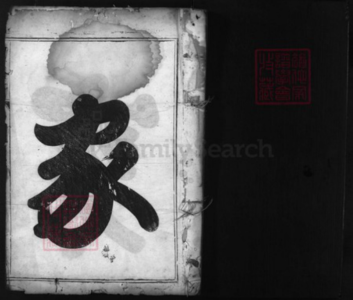 浙江省徐氏族谱-絣塘山背徐氏宗谱 [不分卷].pdf电子版插图1