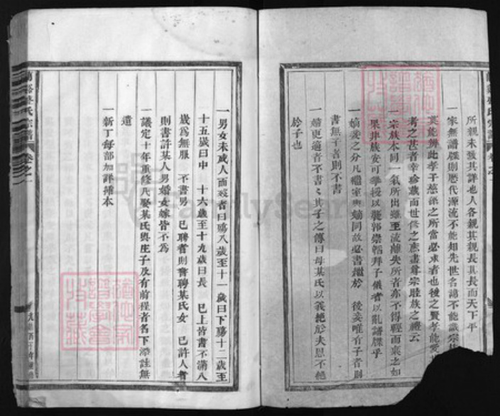 浙江省盛氏族谱-兰谿盛氏宗谱 [13卷].pdf电子版插图2