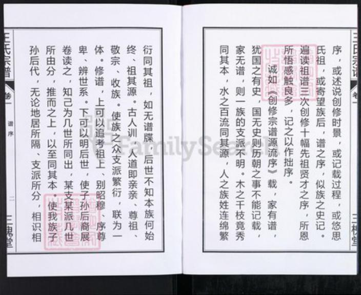 安徽省合肥市肥东县店端口镇王氏三槐堂族谱-王氏宗谱.pdf电子版插图3 安徽省合肥市肥东县店端口镇王氏三槐堂族谱-王氏宗谱.pdf电子版插图3
