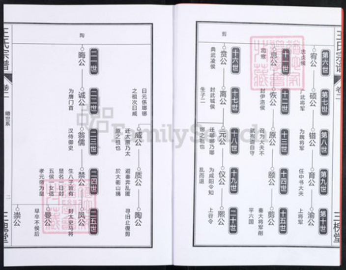 安徽省合肥市王氏三槐堂族谱-王氏宗谱.pdf电子版插图2 安徽省合肥市王氏三槐堂族谱-王氏宗谱.pdf电子版插图2