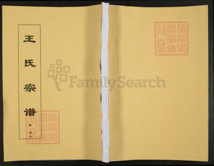 安徽省安庆市太湖县弥陀镇王氏敦伦堂族谱-王氏宗谱.pdf电子版插图 安徽省安庆市太湖县弥陀镇王氏敦伦堂族谱-王氏宗谱.pdf电子版插图