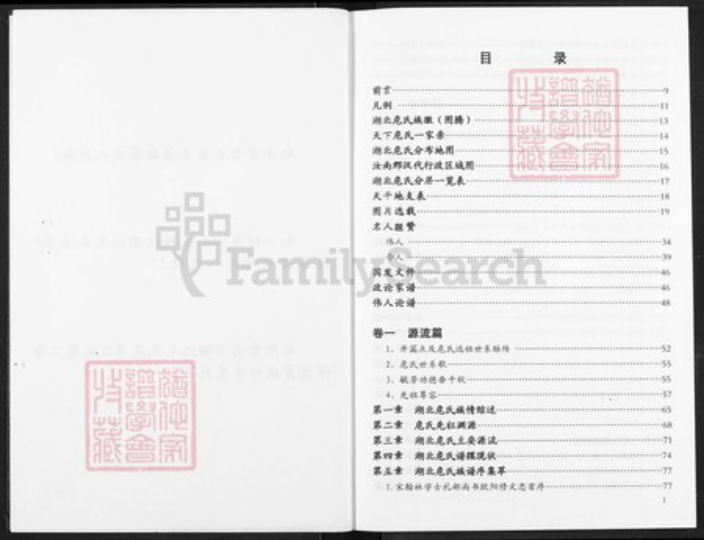 湖北省危氏族谱-湖北危氏通考.pdf电子版插图2