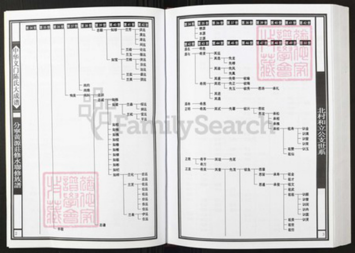 江西省九江市陈氏族谱-中华义门陈氏大成谱分宁黄源庄修水联修族谱.pdf电子版插图3