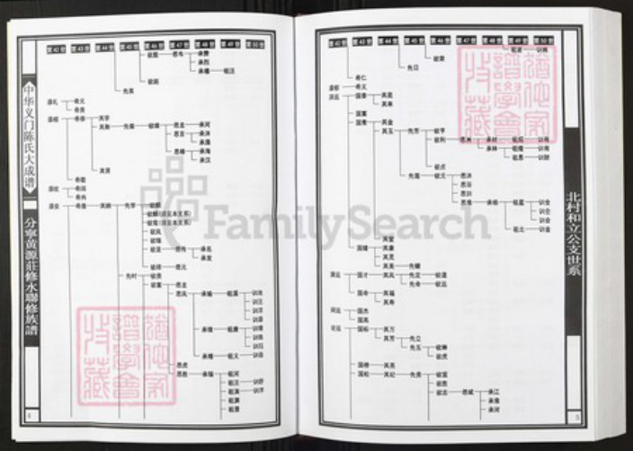 江西省九江市陈氏族谱-中华义门陈氏大成谱分宁黄源庄修水联修族谱.pdf电子版插图4