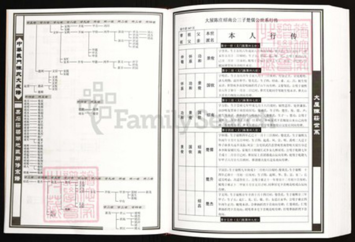 浙江省绍兴上虞区陈氏族谱-中华义门陈氏大成谱果石庄梁湖地区联修宗谱.pdf电子版插图5