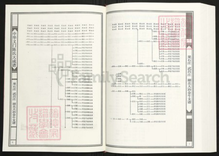 湖北省黄石市大冶市陈氏族谱-中华义门陈氏大成谱果石庄 武昌庄 湖北大冶金牛支谱.pdf电子版插图4