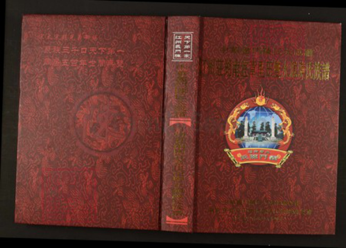 湖南省郴州市宜章县陈氏族谱-中华义门陈氏大成谱汀州庄湖南宜章里田双水源陈氏族谱.pdf电子版