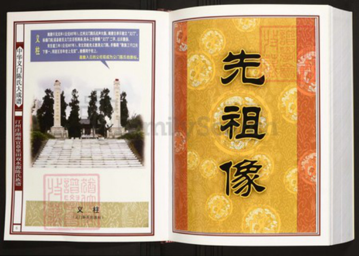 湖南省郴州市宜章县陈氏族谱-中华义门陈氏大成谱汀州庄湖南宜章里田双水源陈氏族谱.pdf电子版插图4