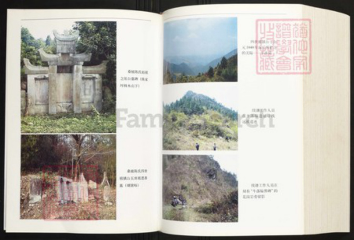 湖南省张家界桑植县陈氏族谱-桑植陈氏族谱.pdf电子版插图4